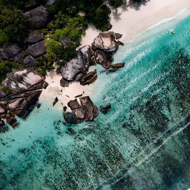 Canopy by Hilton Seychelles