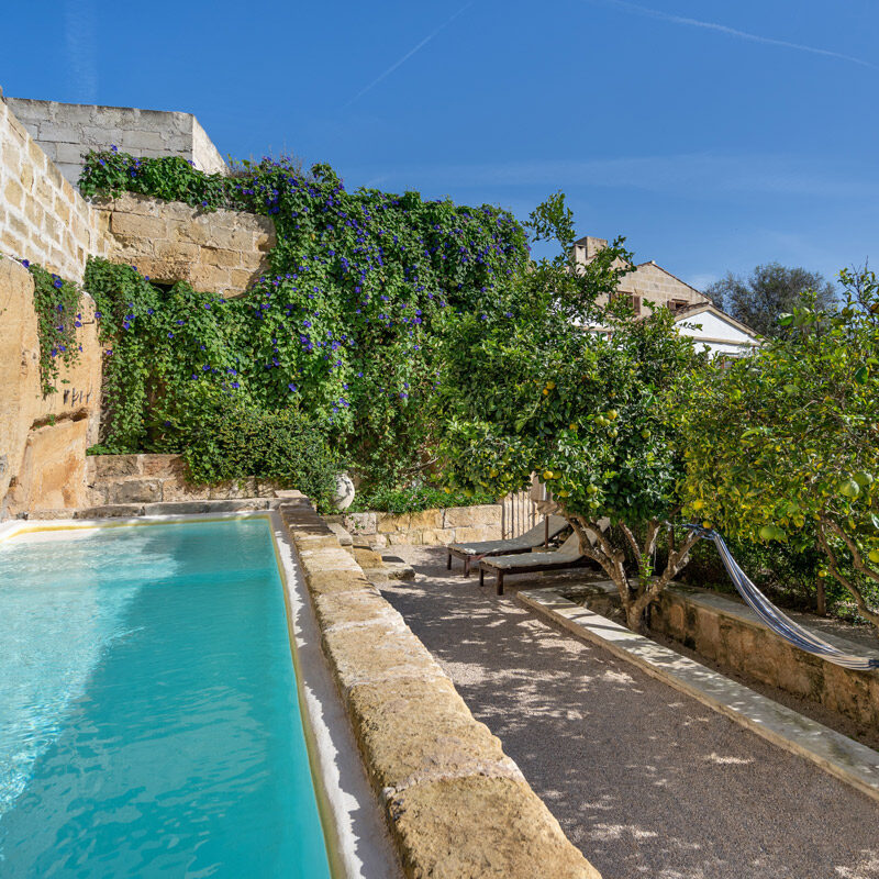 Magister Gardens Menorca