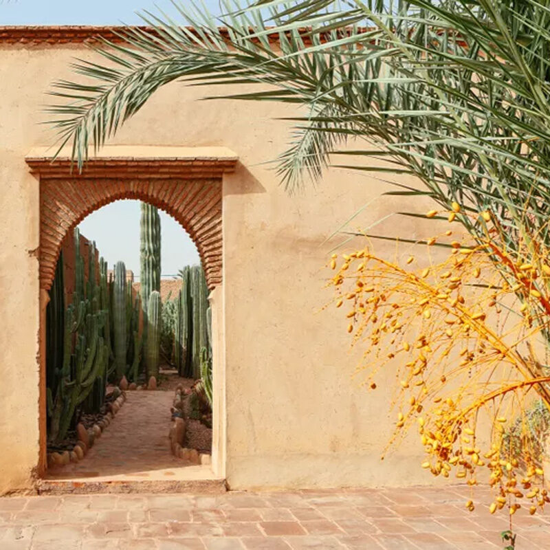 yacouta riad and spa marrakech